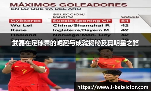 武磊在足球界的崛起与成就揭秘及其明星之路